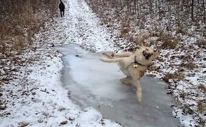 50 Times People Captured Such Perfectly Timed Pics, They Had To Celebrate It By Sharing Them Online