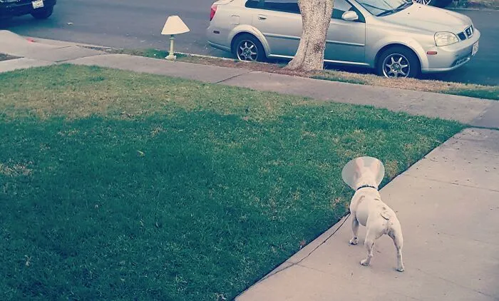 Love At First Sight