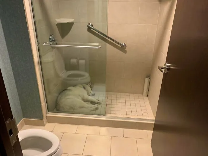 First Time She Has Been In A Hotel... She Opted To Sleep In The Shower