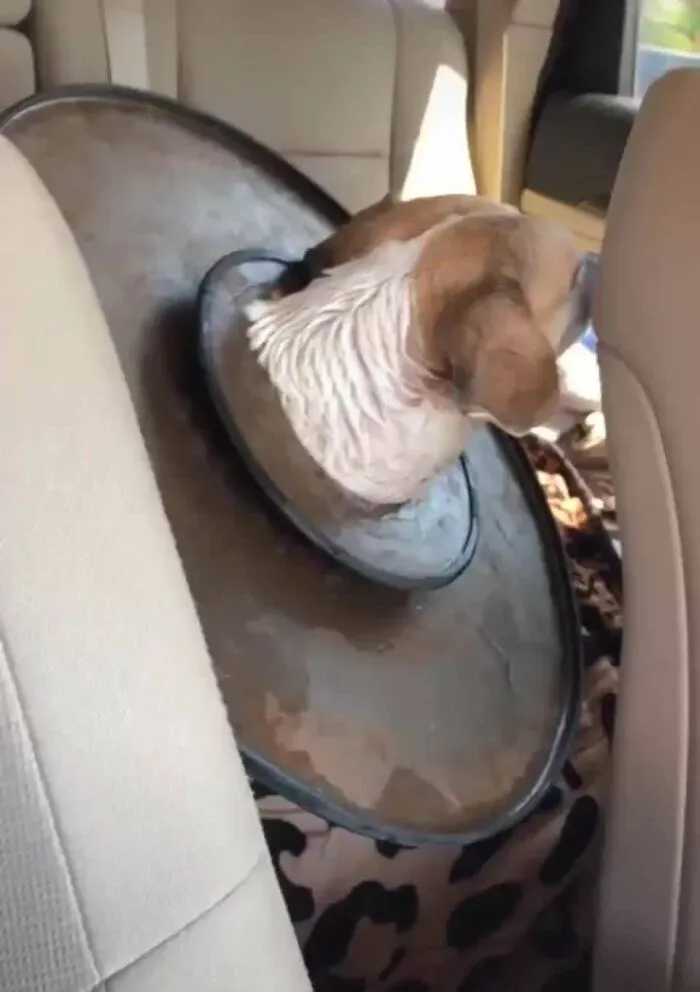 On His Way To The Fire Department