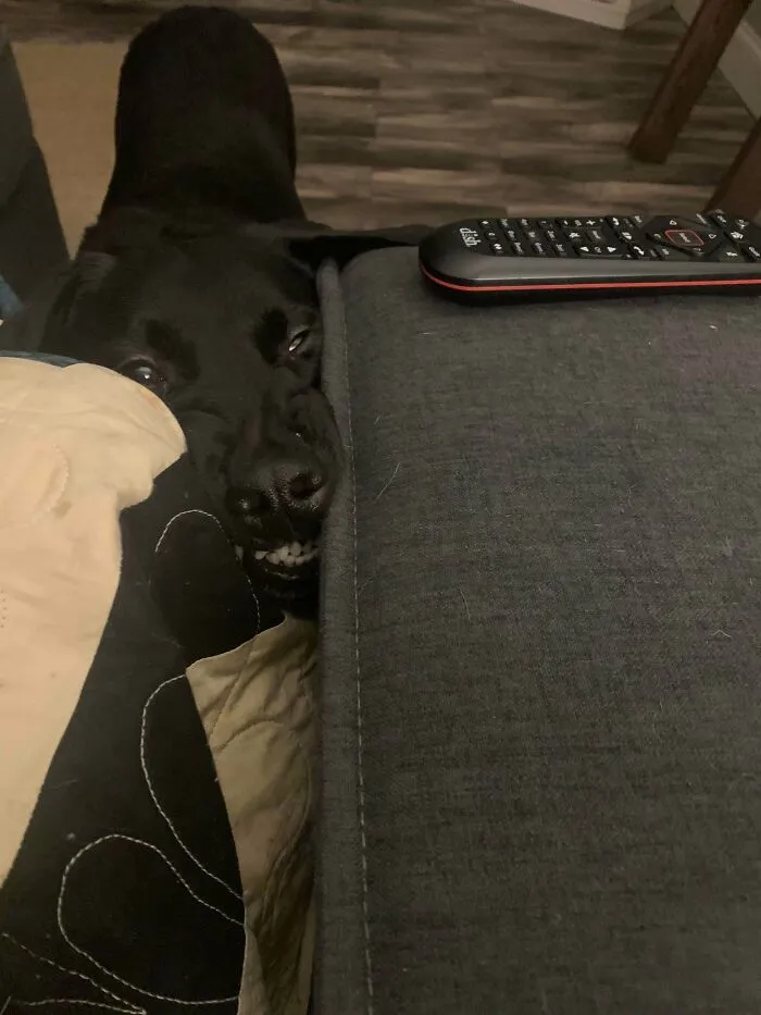 I’m Eating On The Couch And I Look Down And See This