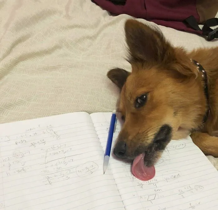 Cómo voy a estudiar así