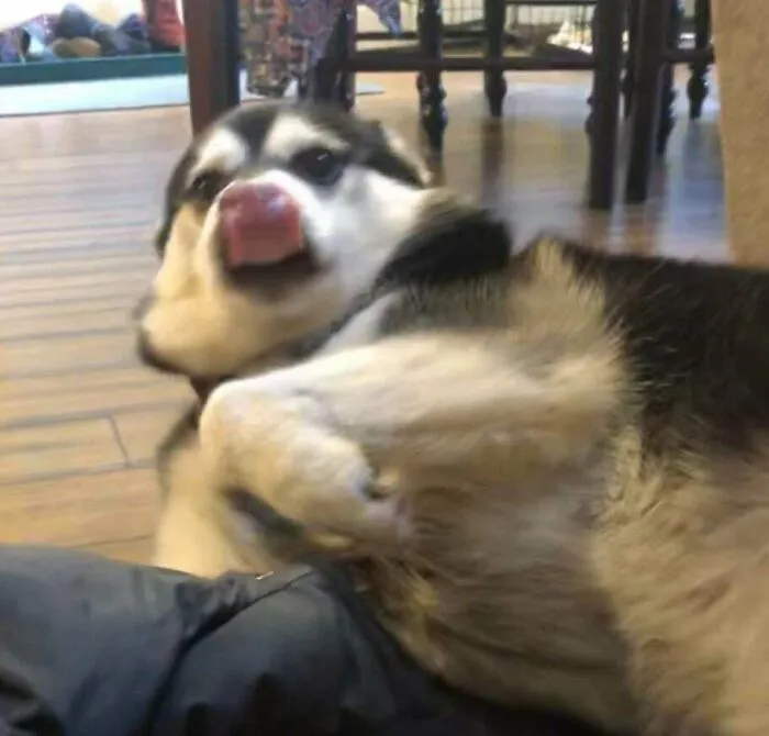 He Breathed In While Licking His Nose And His Tongue Got Sucked Into His Nostrils A Little Bit