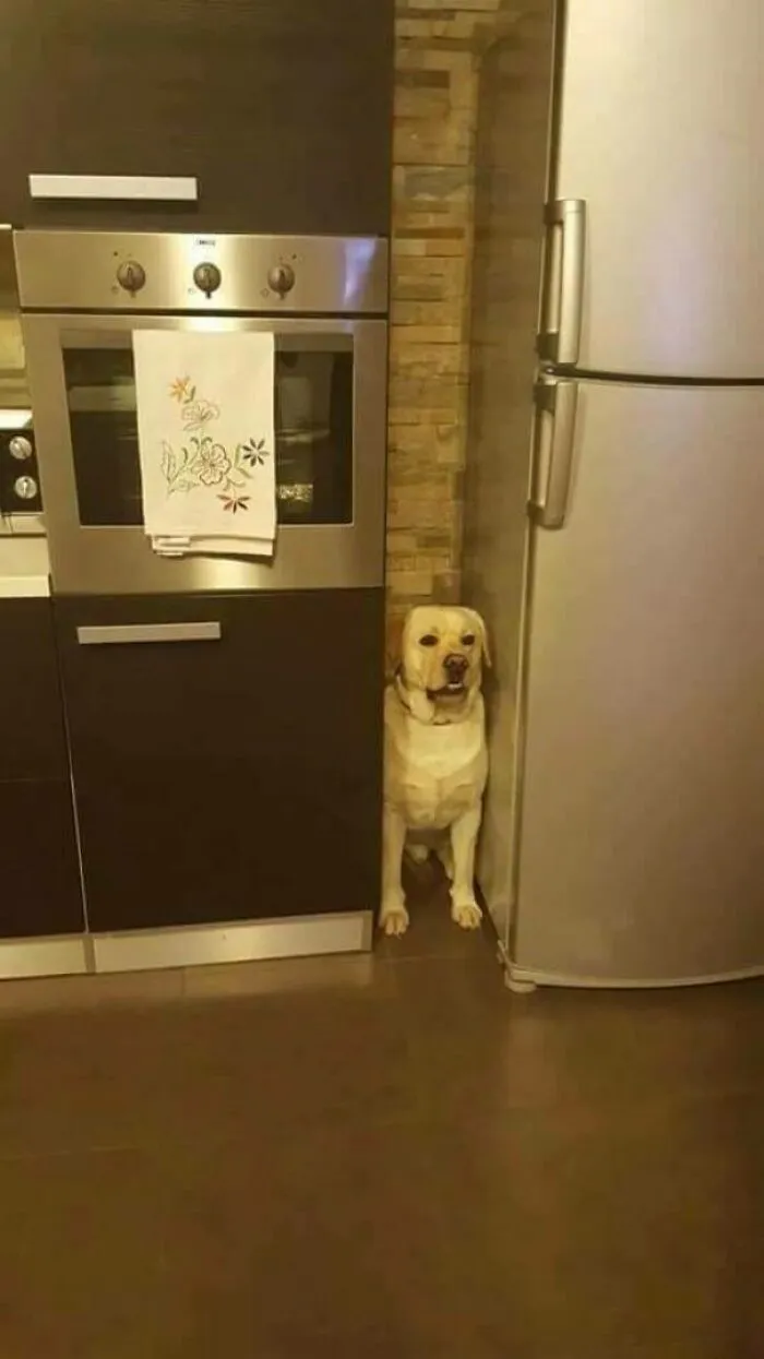 Perfect Fit