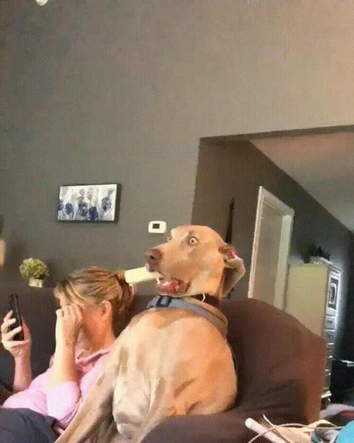Must Be Watching A Terrifying Horror Movie