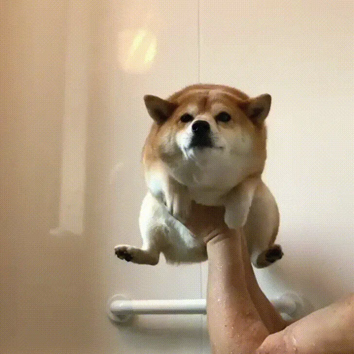 Preparing For Bath Time