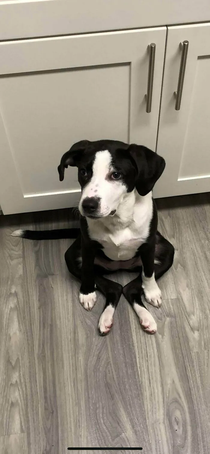 Just Sitting