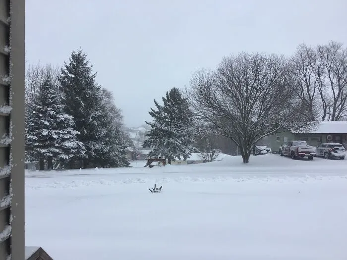 Winter Wonderland!