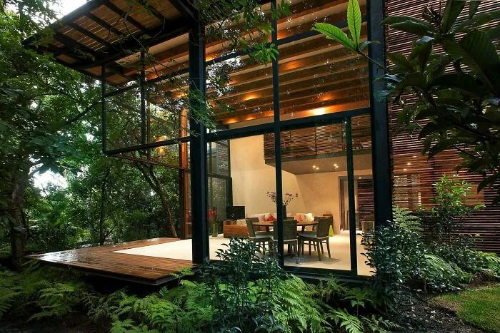 Espacio abierto con plataforma rodeado de verdor, México