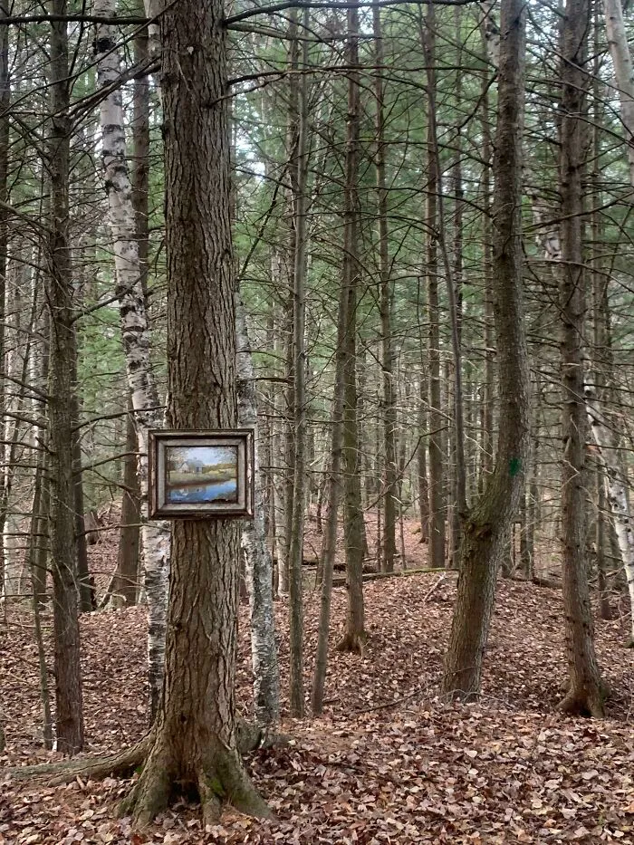 Found A Random Painting In The Middle Of The Woods