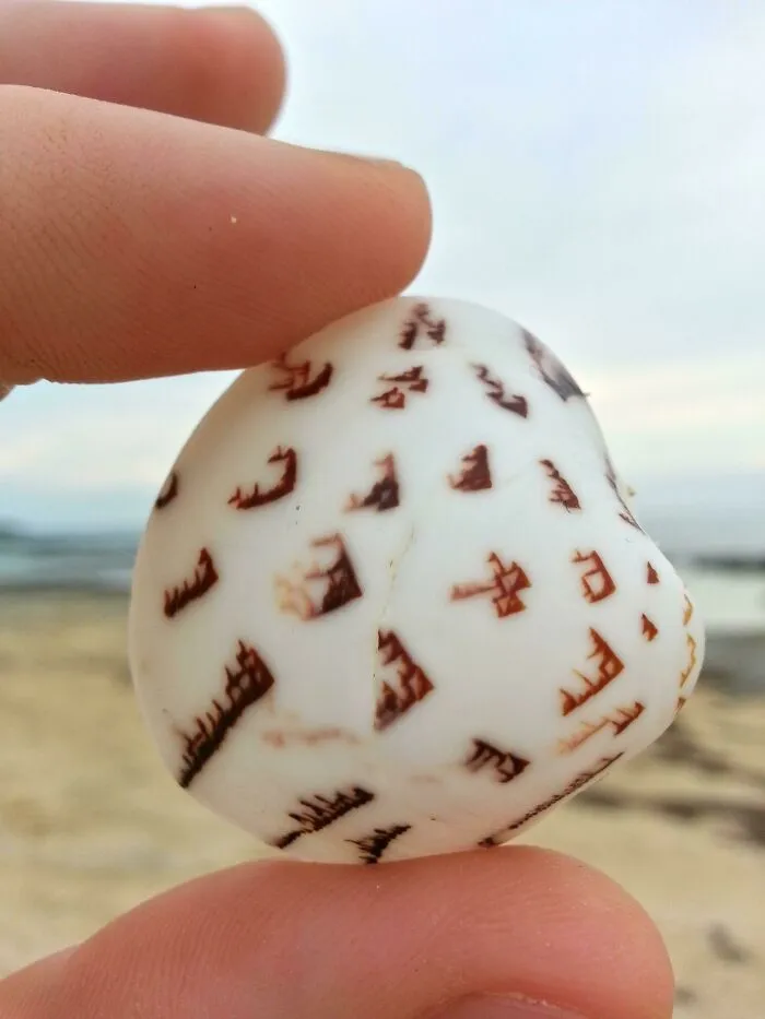 Real Talk I Think I Just Found A Shell With An Ancient Language On It