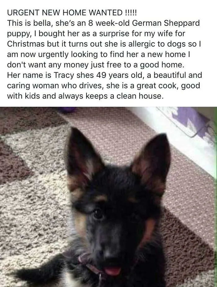 Free To A Good Home