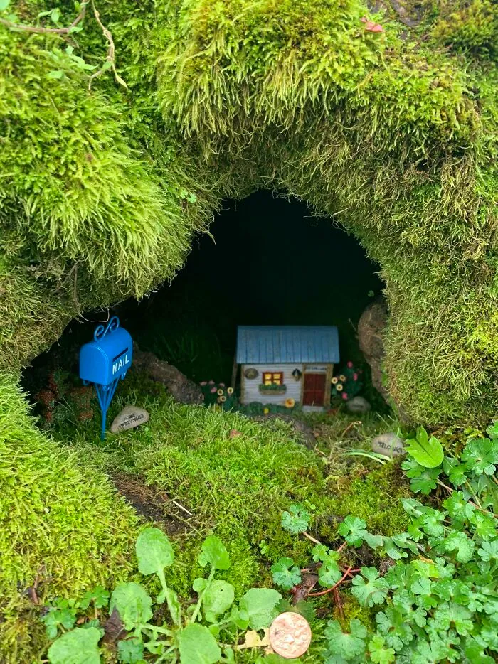 I Found A Tiny House Inside Of A Tree Stump
