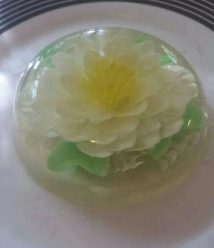 My Mom’s Cool Hobbies Include Making Jello Art