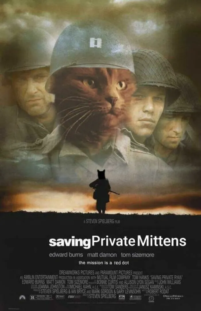 In My Odd Hobbies I Photoshop My Cat Into Movie Posters and Set Them as My Fiance's Phone Background