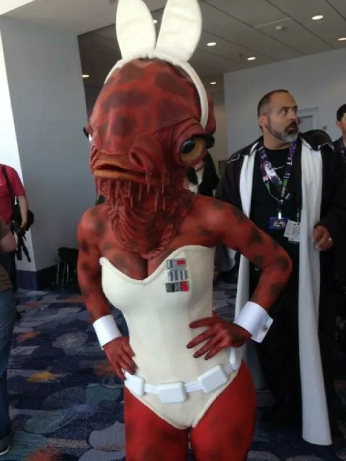 Ackbar conejita