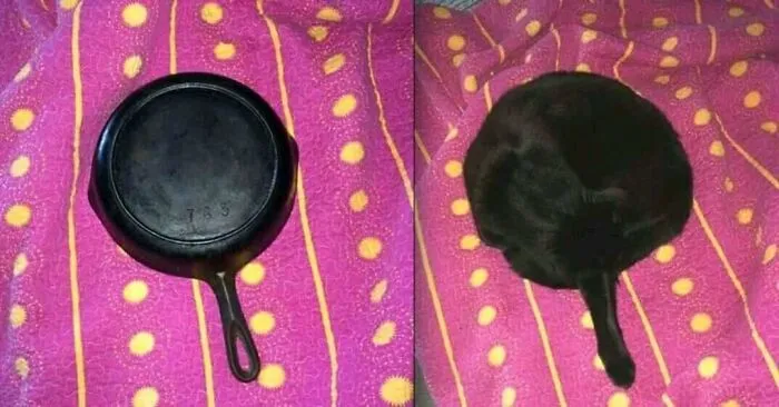My Pan Left A Burn Mark On The Sheet