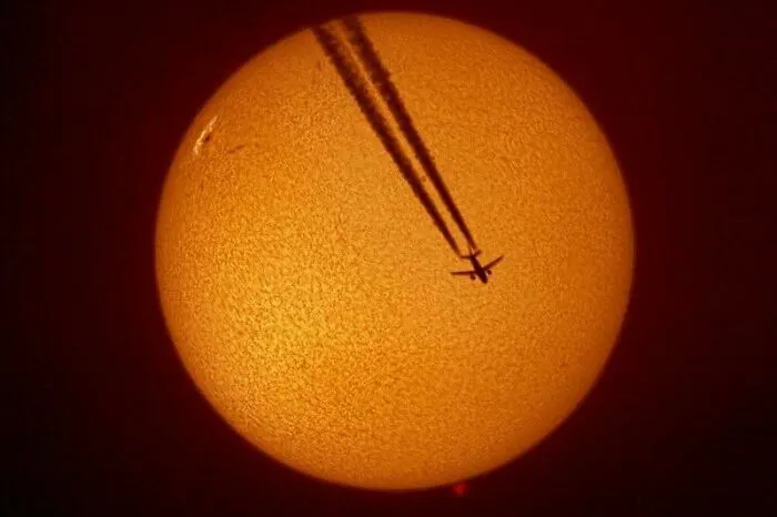 Microscopic View Of Tweezers Picking Up An Organism