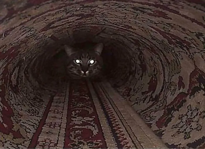 Tren por un tunel viejo