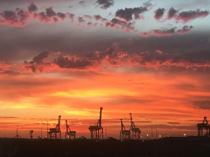 Jirafas en la puesta de sol del Serengeti