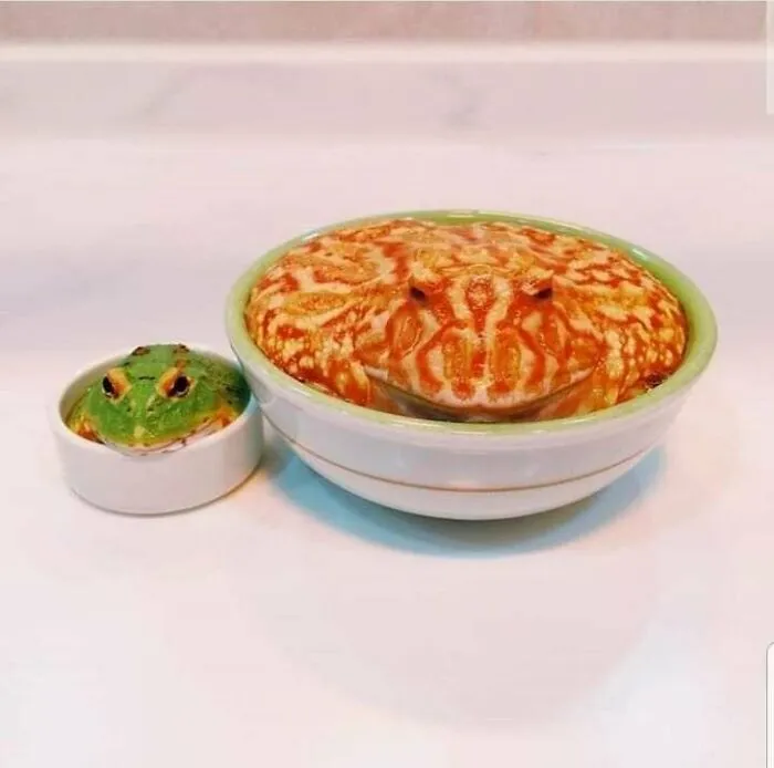 cuenco de pasta con aguacate para acompañar