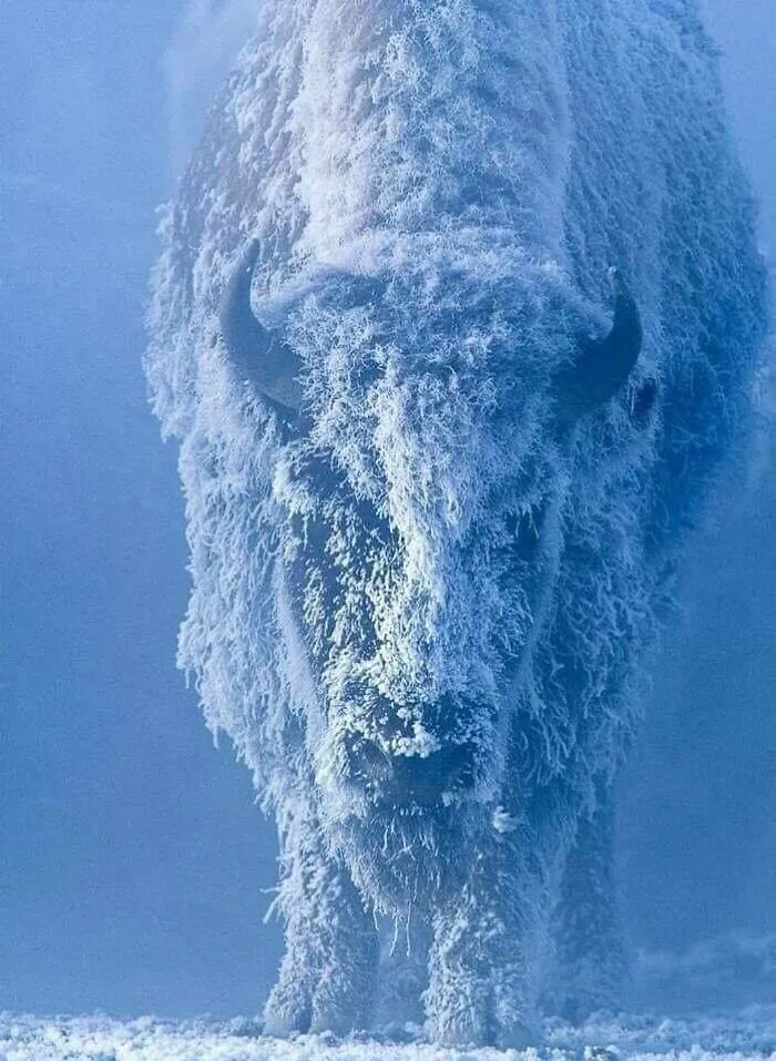 Enorme iceberg bajo el agua
