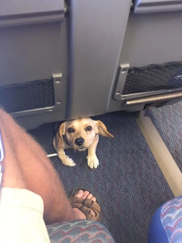 Hice un nuevo amigo en el tren