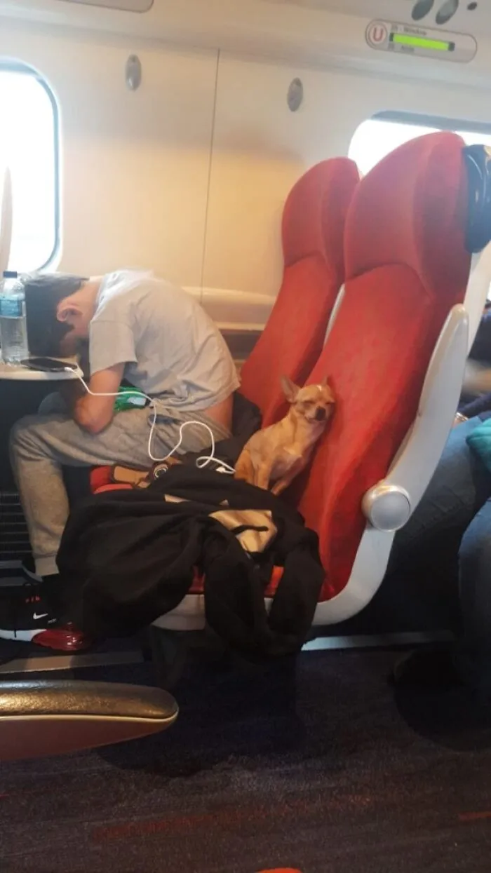 On The Train To Manchester