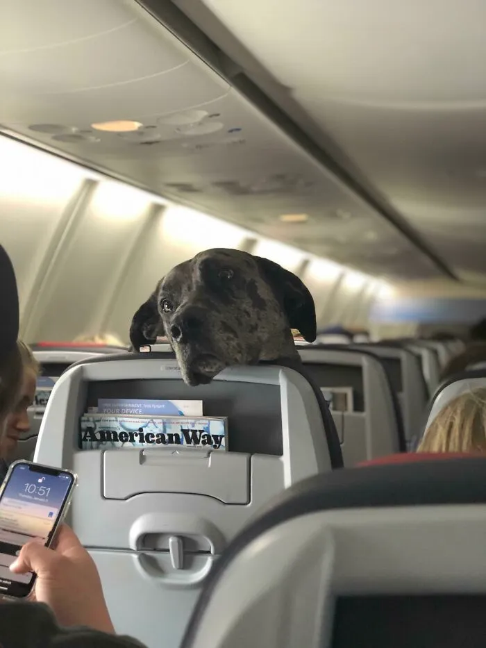 "¿El modo avión es una broma para ti Karen?"