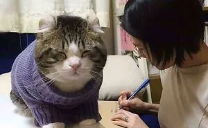 This Online Community Is Sharing Pics Of Absolute Units, And It's Hard To Believe Things Can Get This Big