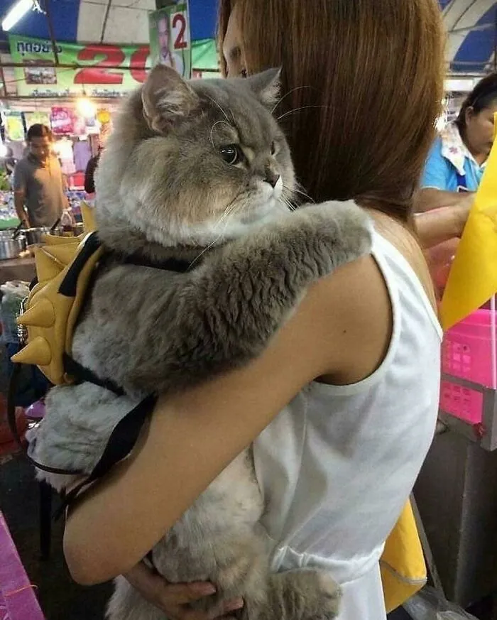 Very Thicc Floof