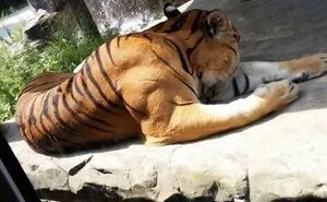 This Online Community Is Sharing Pics Of Absolute Units, And It's Hard To Believe Things Can Get This Big