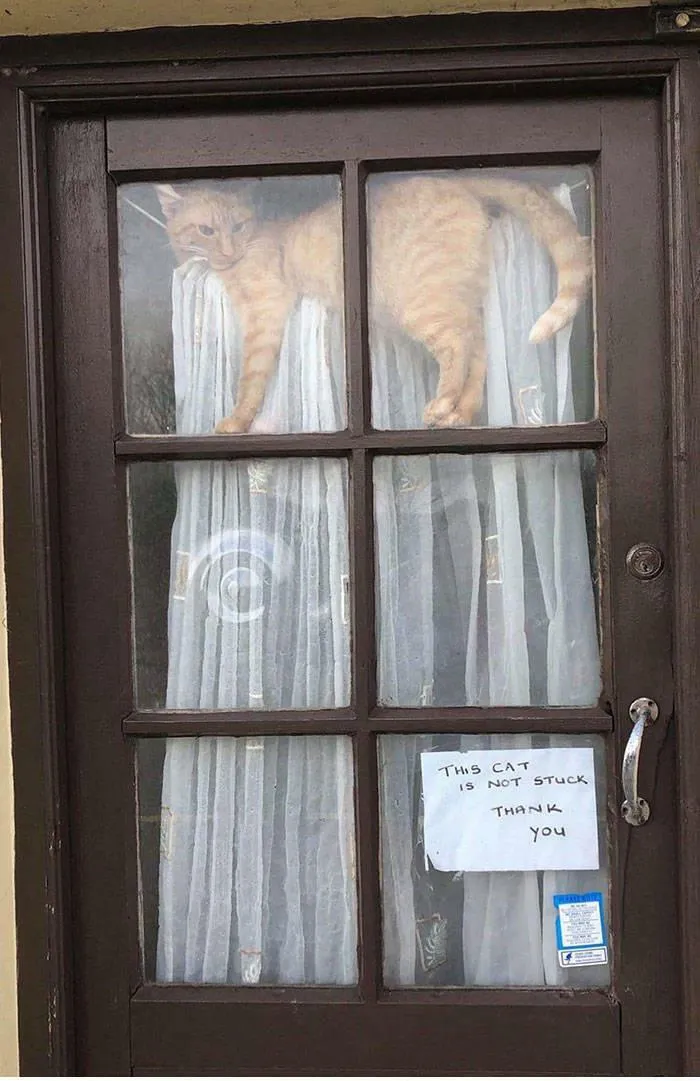 Wonder How Many Times Someone Knocked Before The Sign Was Made