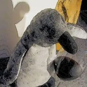 Kroet van den Pinguin