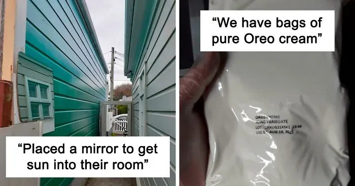 This Online Group Is Dedicated To "Mildly Interesting" Stuff, And Here Are Their 50 Best Posts