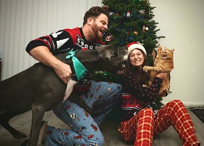 39 Christmas Pics That Were Supposed To Be Nice Until The Dog Showed Up