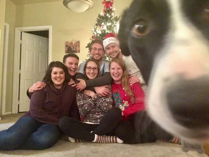 39 Christmas Pics That Were Supposed To Be Nice Until The Dog Showed Up