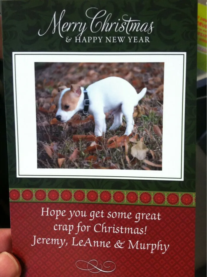 39 Christmas Pics That Were Supposed To Be Nice Until The Dog Showed Up