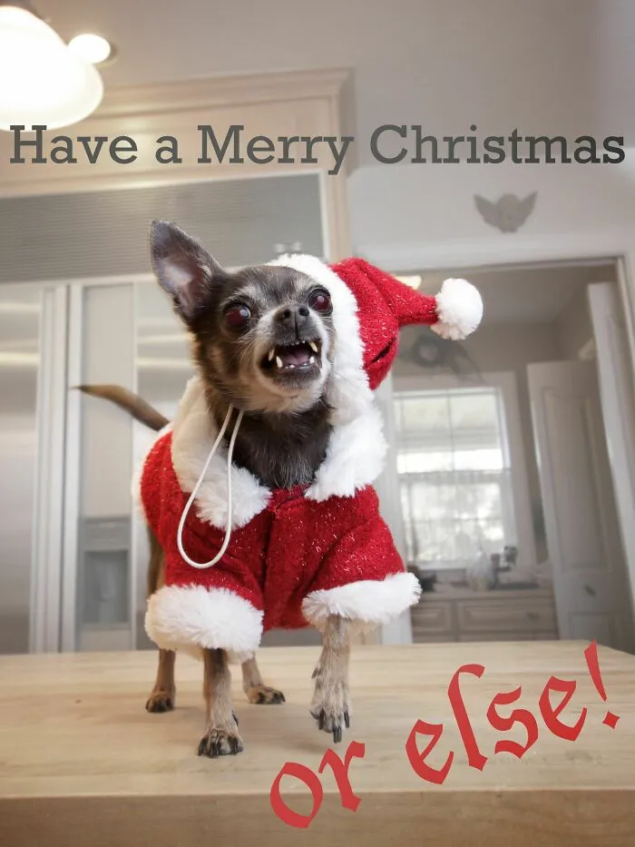 39 Christmas Pics That Were Supposed To Be Nice Until The Dog Showed Up