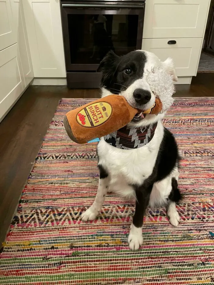 Le Encanta Llevar A Todas Partes Su Juguete De Butt Munch