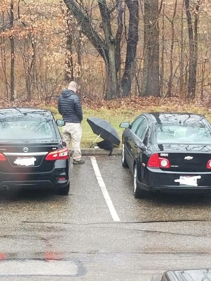 This Gem Of A Human Feeding The Stray Cat At My Apartment Complex And Giving Him An Umbrella Since It's Raining