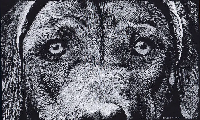 My Daughter Got Me A Black Sketchbook A Couple Of Months Ago, Here Are 47 White Pen Drawings That I Made