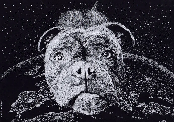 My Daughter Got Me A Black Sketchbook A Couple Of Months Ago, Here Are 47 White Pen Drawings That I Made