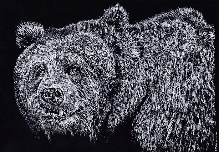 My Daughter Got Me A Black Sketchbook A Couple Of Months Ago, Here Are 47 White Pen Drawings That I Made