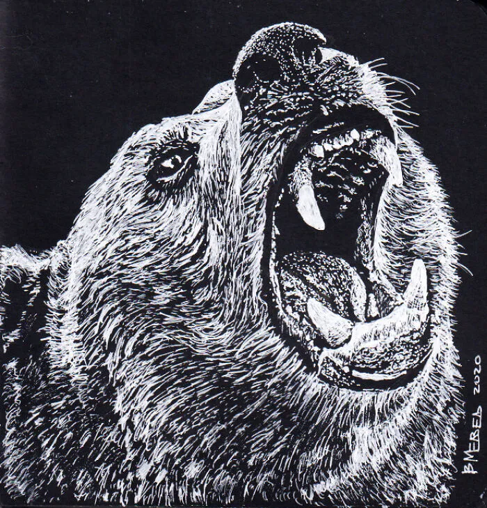My Daughter Got Me A Black Sketchbook A Couple Of Months Ago, Here Are 47 White Pen Drawings That I Made