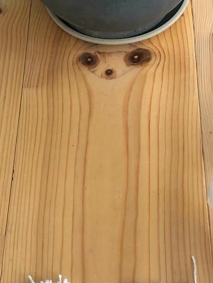 There’s A Sid On My Sister’s Floor