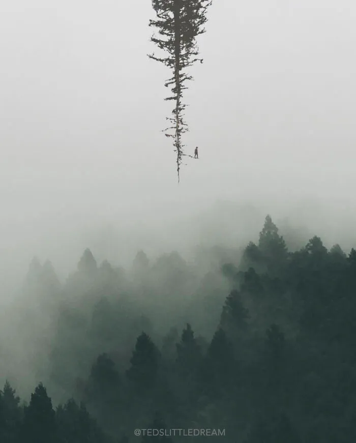 Pluviophile