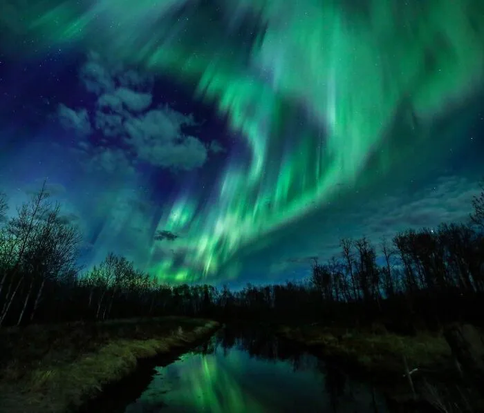 “Lights In The Land Of Living Skies” By Jeanine Holowatuik