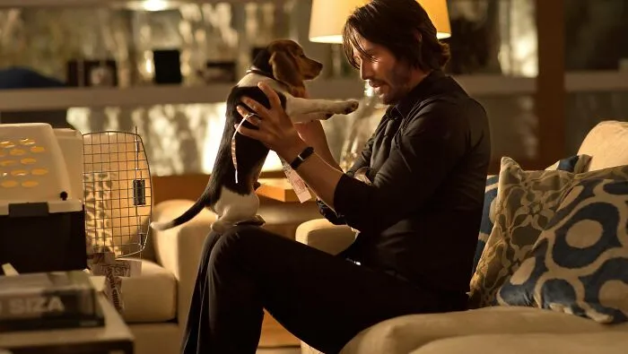 People Say These 30 Things 100% Ruin A Movie For Them Every Time