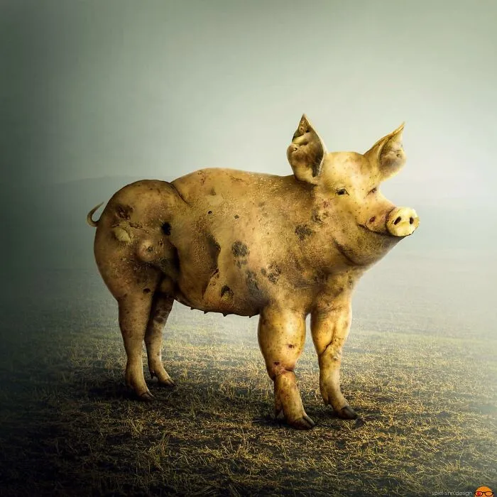 Here Are 66 Surreal Photoshops That Combine Completely Different Objects